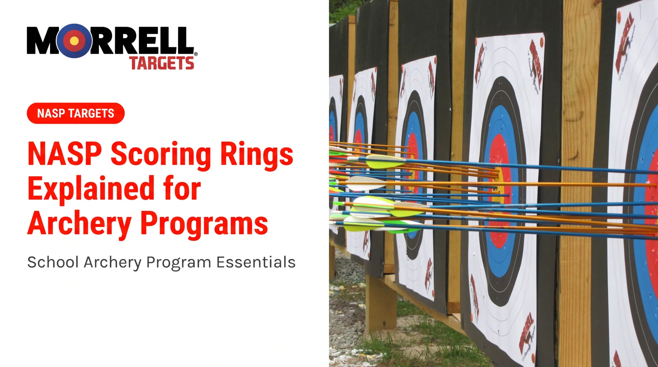 NASP Scoring Rings Explained for Archery Programs