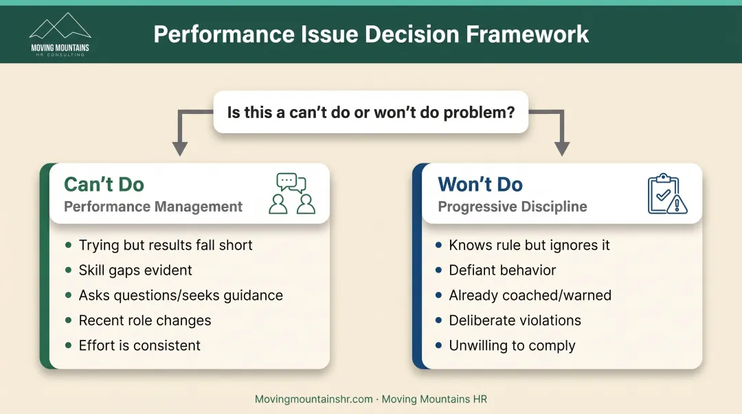 Can't do versus won't do performance problems decision tree infographic