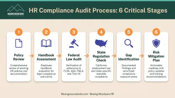 Six-step compliance audit process from policy review to risk mitigation implementation