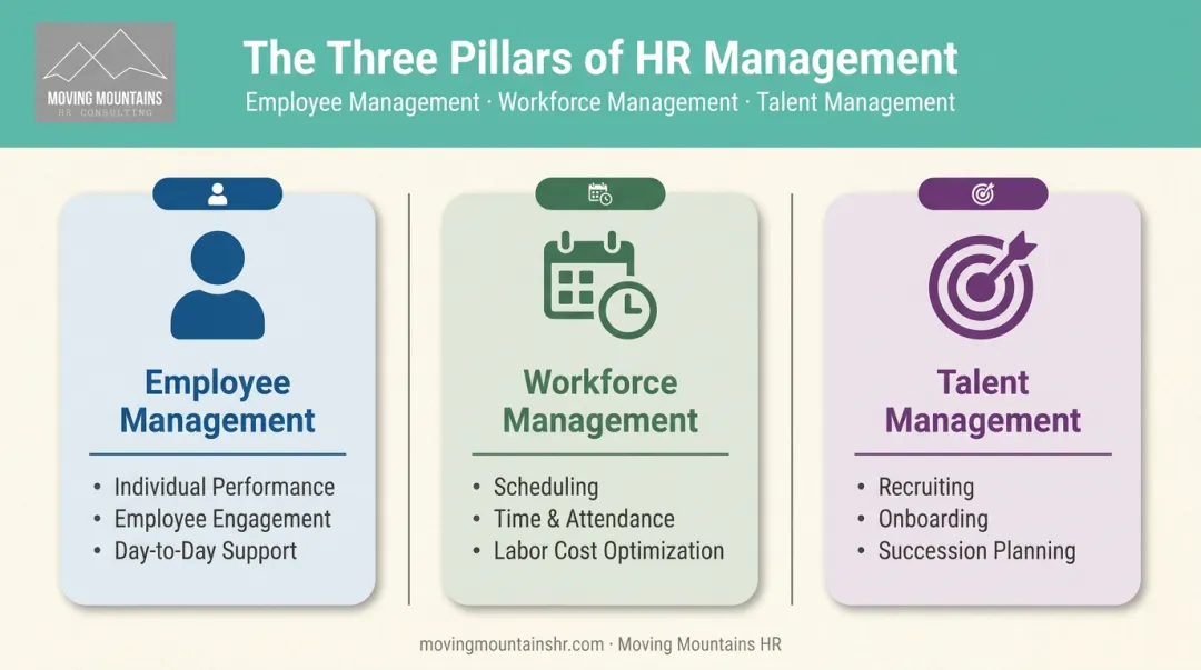 Employee management versus workforce management versus talent management comparison