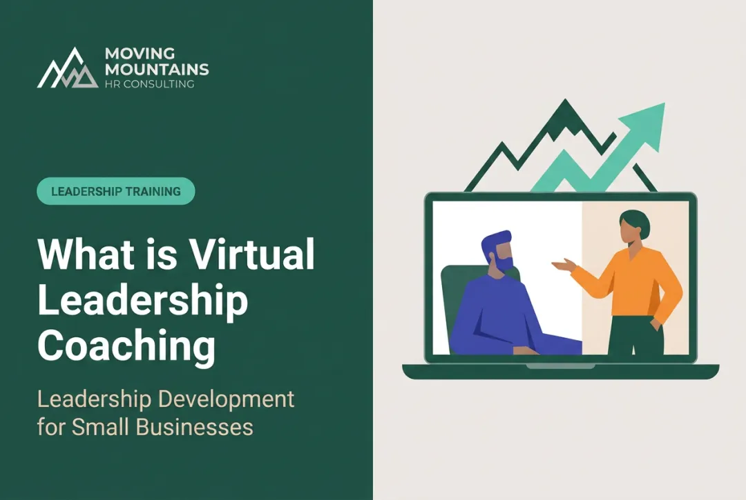 What is Virtual Leadership Coaching