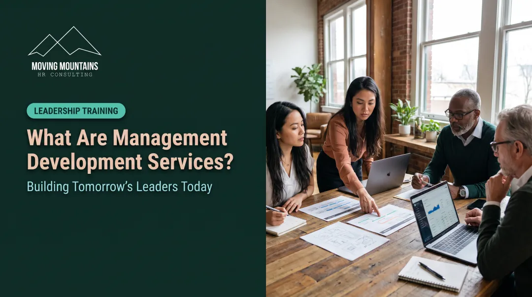 What Are Management Development Services?