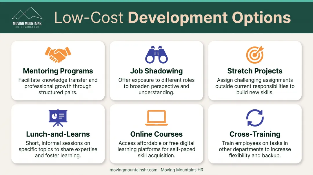 Cost-effective employee development options including mentoring job shadowing and cross-training programs