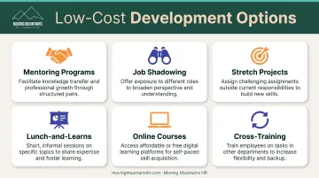 Cost-effective employee development options including mentoring job shadowing and cross-training programs