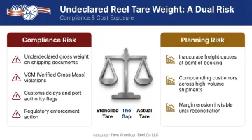 Reel fleet audit process showing compliance and planning risk identification steps