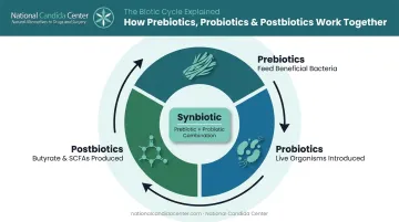 Prebiotic probiotic postbiotic three-component gut health system diagram