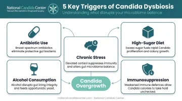 Five common triggers of microbiome (including Candida overgrowth) and gut bacterial imbalance