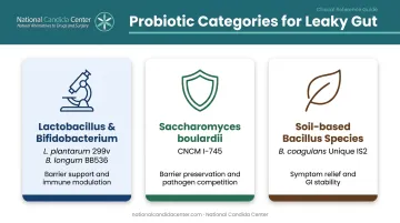 Three probiotic categories for leaky gut repair with strains and key roles