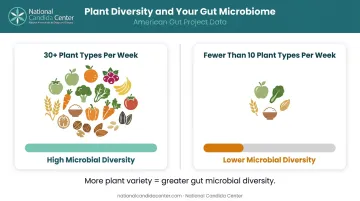 Plant variety and gut microbiome diversity weekly intake comparison infographic