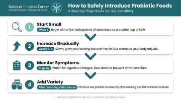 Four-step probiotic food introduction ramp-up schedule for sensitive digestive systems