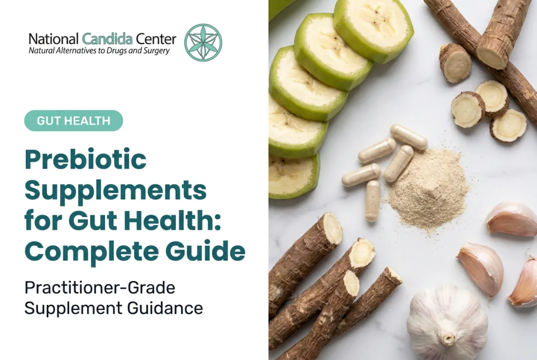 Prebiotic Supplements for Gut Health: Complete Guide