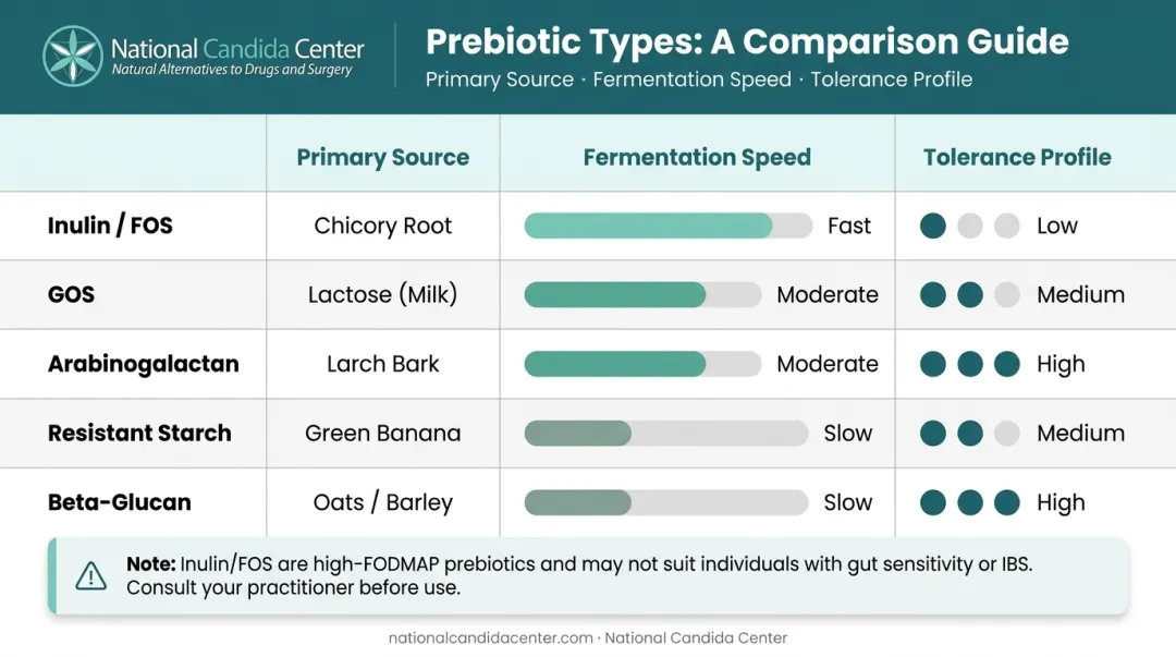 Five main prebiotic supplement types compared by source fermentation speed and tolerance