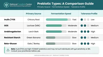 Five main prebiotic supplement types compared by source fermentation speed and tolerance