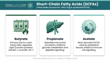 Three short-chain fatty acids butyrate propionate acetate roles in gut health