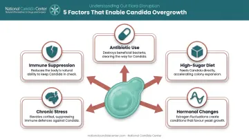 Five key factors that disrupt gut flora and trigger Candida overgrowth