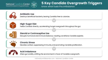 Five common Candida overgrowth triggers disrupting gut microbiome balance infographic
