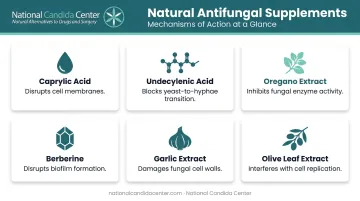 Six natural antifungal supplements mechanisms of action comparison chart