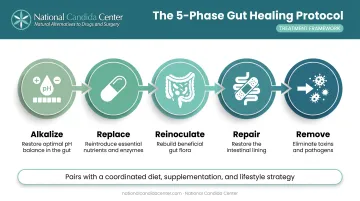 5 Phase Treatment Plan process flow for healing leaky gut