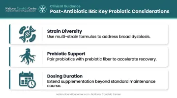Three-step post-antibiotic IBS probiotic recovery strategy infographic