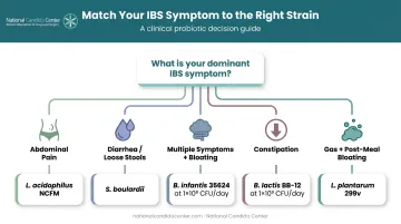 IBS subtype to probiotic strain matching decision framework flowchart