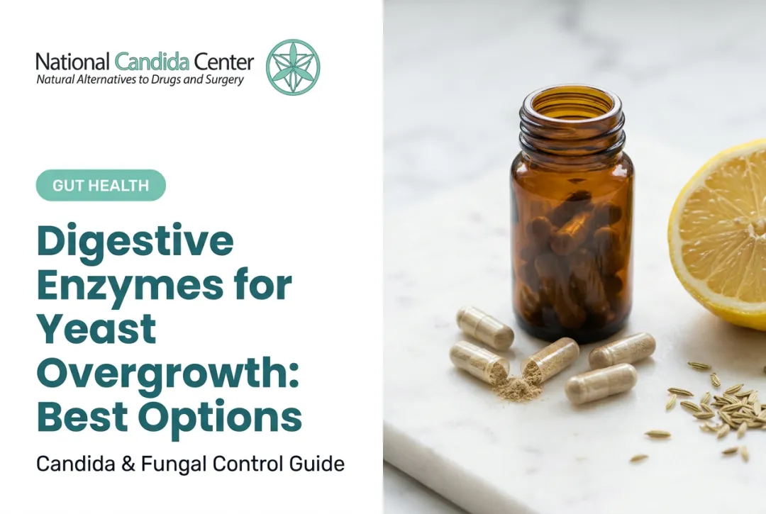 Digestive Enzymes for Yeast Overgrowth: Best Options