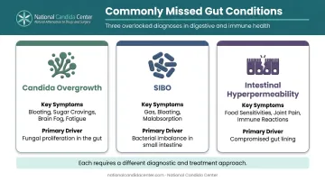 three commonly missed gut conditions Candida overgrowth SIBO and intestinal hyperpermeability comparison