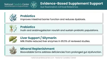 Four key supplement categories in holistic detox with clinical evidence and benefits