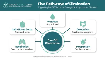 Five pathways of elimination during holistic detox Herxheimer reaction management diagram