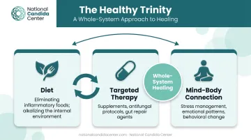 Healthy Trinity three-pillar holistic detox framework diagram with interconnected components