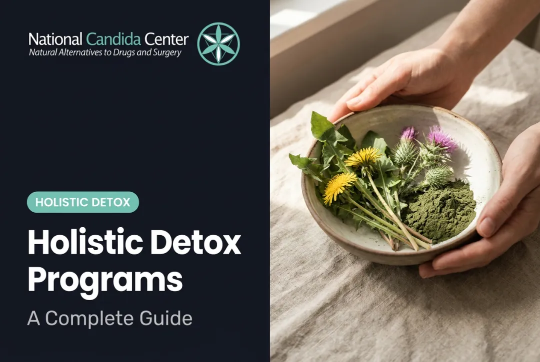 Holistic Detox Programs: A Complete Guide