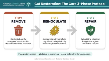 Three-step gut microbiome restoration sequence remove reinoculate repair process flow