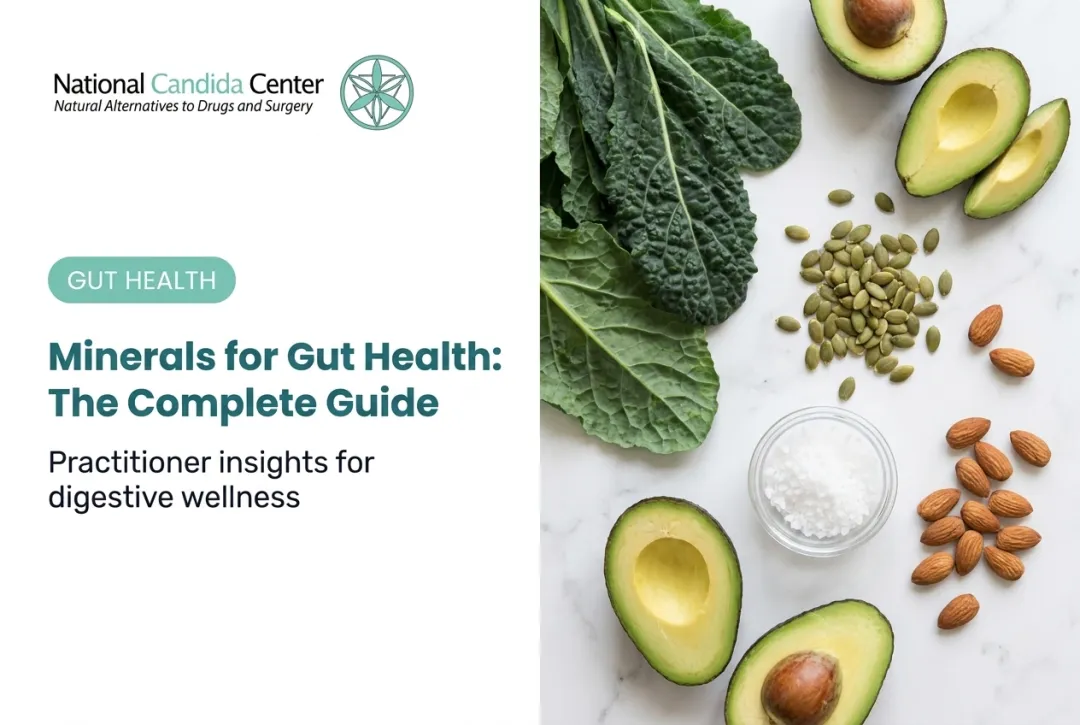 Minerals for Gut Health: The Complete Guide