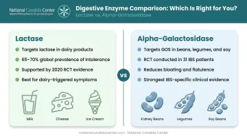 Lactase versus alpha-galactosidase IBS enzyme clinical evidence comparison infographic