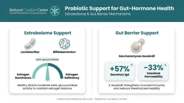 Probiotics dual-action mechanism on estrobolome balance and gut barrier integrity