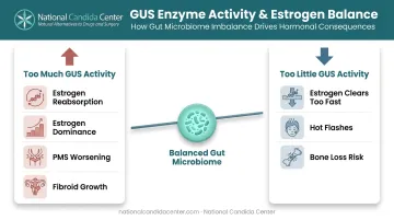 Estrobolome GUS activity imbalance effects on estrogen dominance and deficiency