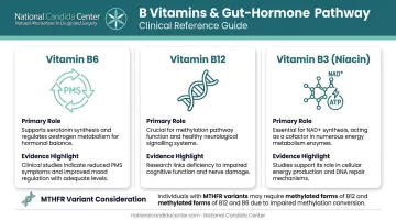 B vitamins B6 B12 B3 roles in gut hormone pathway comparison chart
