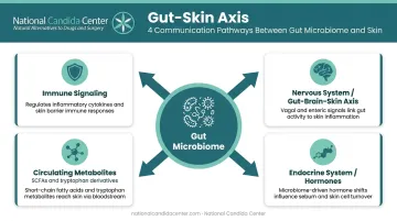Four-channel gut-skin axis communication pathway infographic diagram