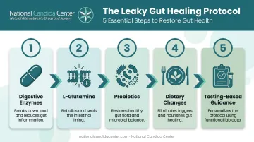 Five-step leaky gut healing protocol from enzyme support to testing-based guidance