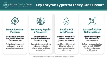 Four digestive enzyme types for leaky gut benefits and use cases comparison
