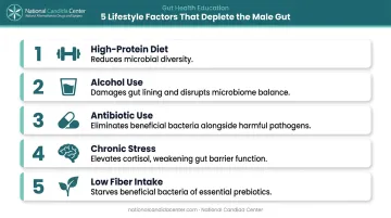 Five lifestyle factors that deplete men's gut microbiome and cause dysbiosis