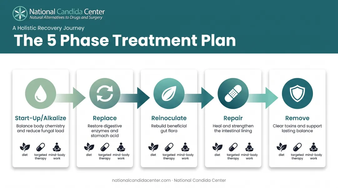 Five phase Candida treatment plan process flow diagram