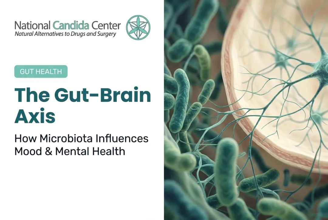 The Gut-Brain Axis: How Microbiota Influences Mood & Mental Health