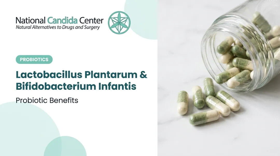 Lactobacillus Plantarum & Bifidobacterium Infantis: Probiotic Benefits