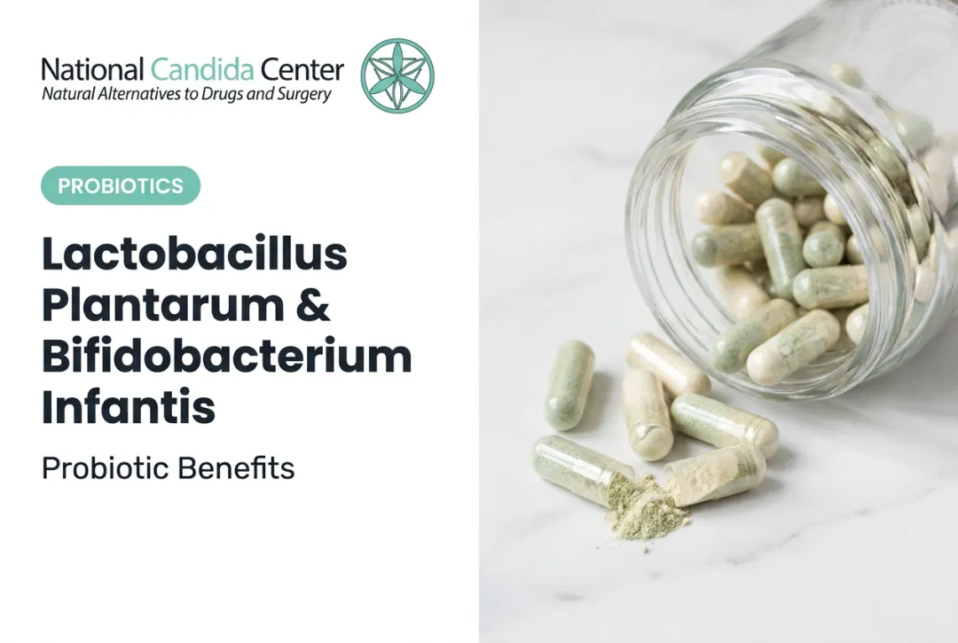Lactobacillus Plantarum & Bifidobacterium Infantis: Probiotic Benefits