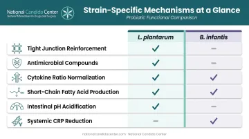 L. plantarum versus B. infantis complementary gut function coverage comparison chart