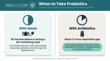 Probiotic timing guidelines with meals and antibiotics two-scenario comparison infographic