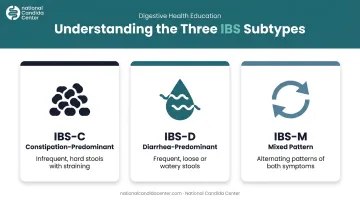 Three IBS subtypes comparison chart showing constipation diarrhea and mixed patterns