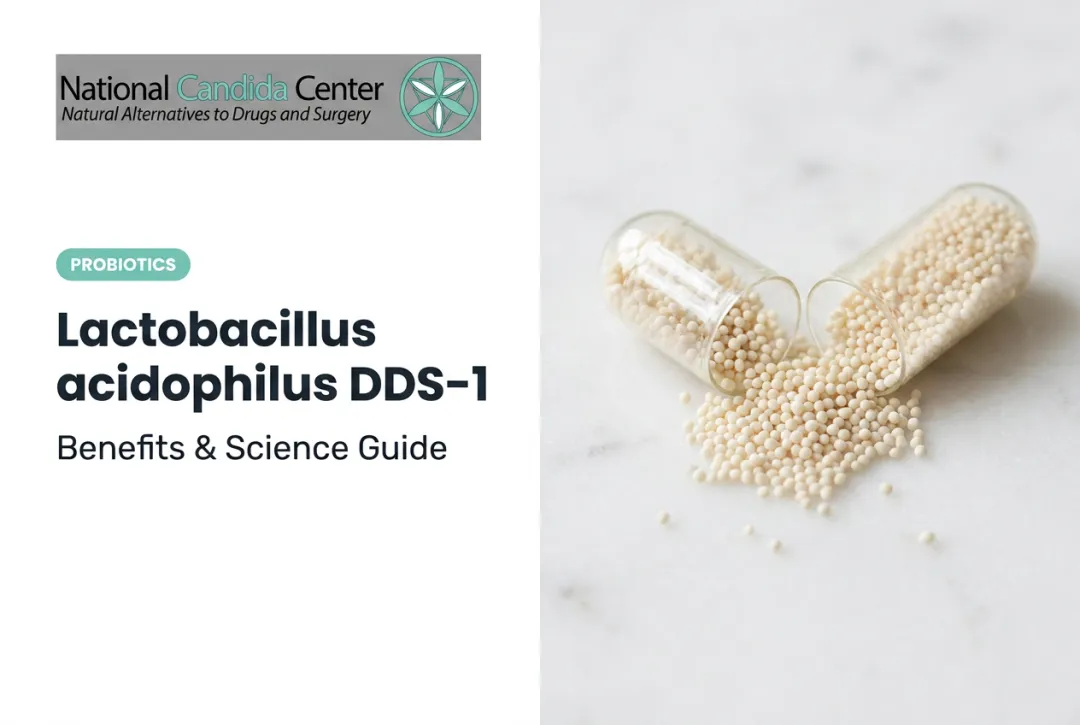 Lactobacillus acidophilus DDS-1: Benefits & Science Guide