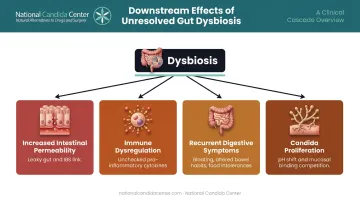 Gut dysbiosis downstream effects cascade showing four key health consequences infographic