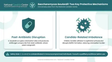Saccharomyces boulardii dual advantage for post-antibiotic and Candida-related bloating